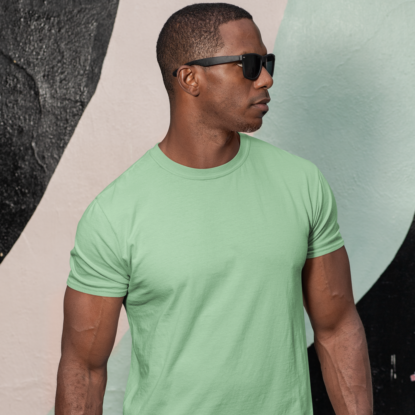 Premium Jade Regular Crew Neck Solid Plain T-shirt