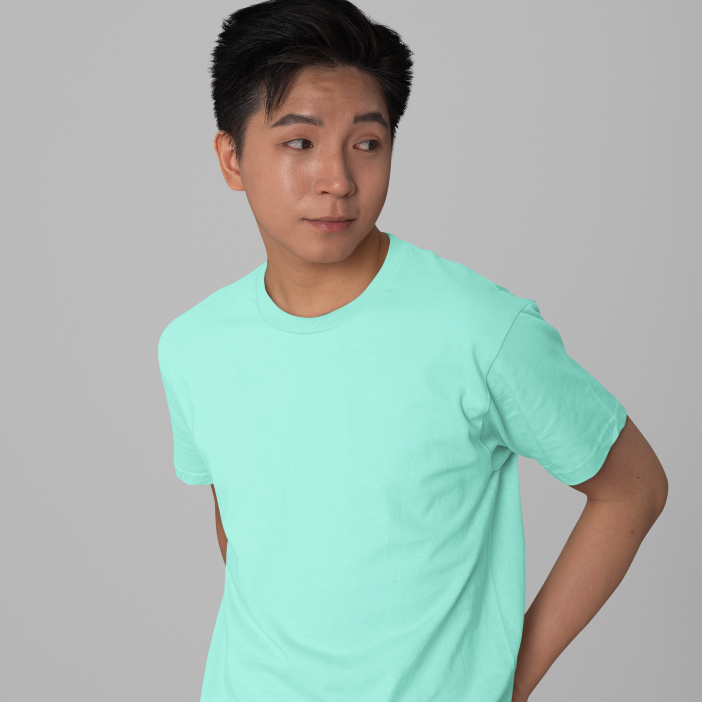 Premium Mint Regular Crew Neck Solid Plain T-shirt