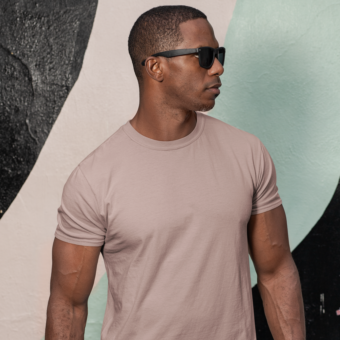 Premium Mushroom Regular Crew Neck Solid Plain T-shirt