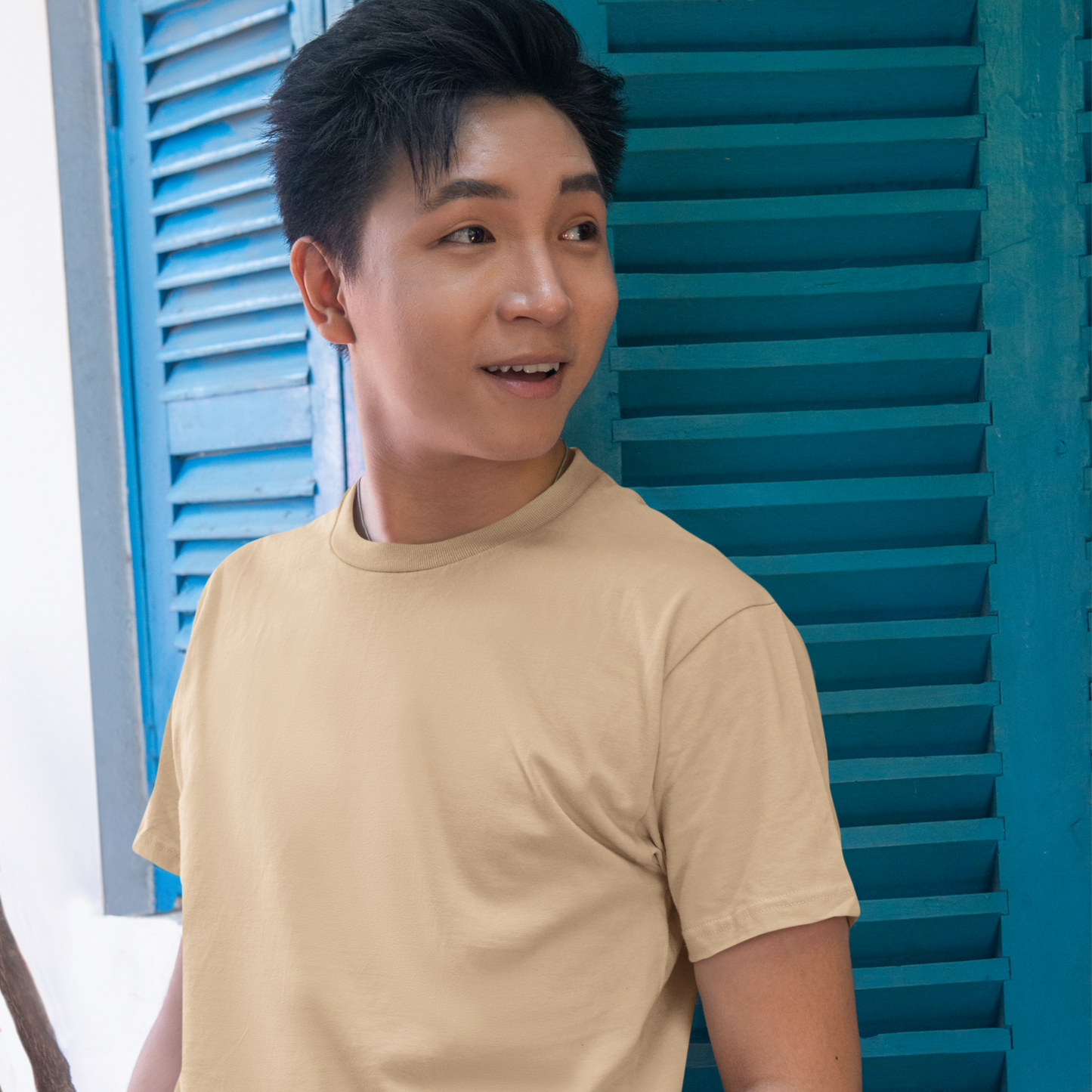 Premium Beige Regular Crew Neck Solid Plain T-shirt