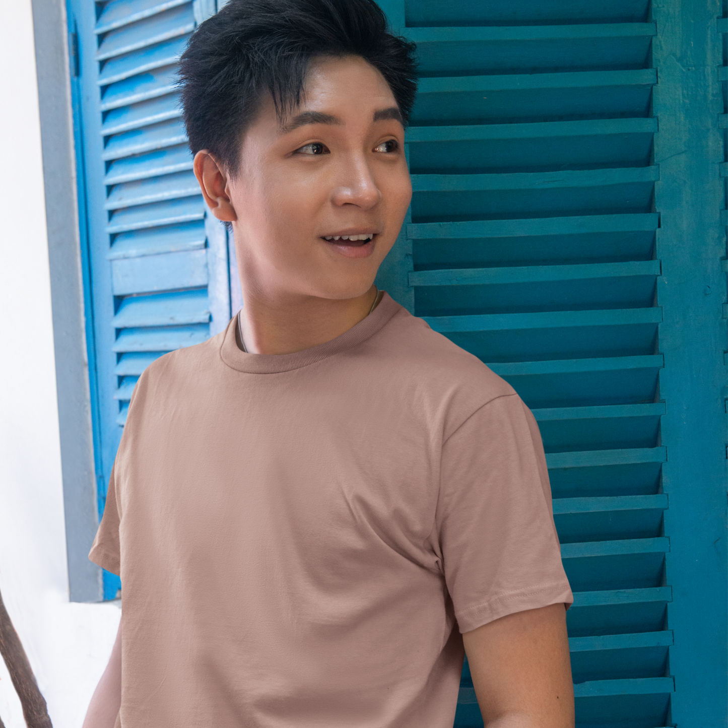 Premium Mushroom Regular Crew Neck Solid Plain T-shirt