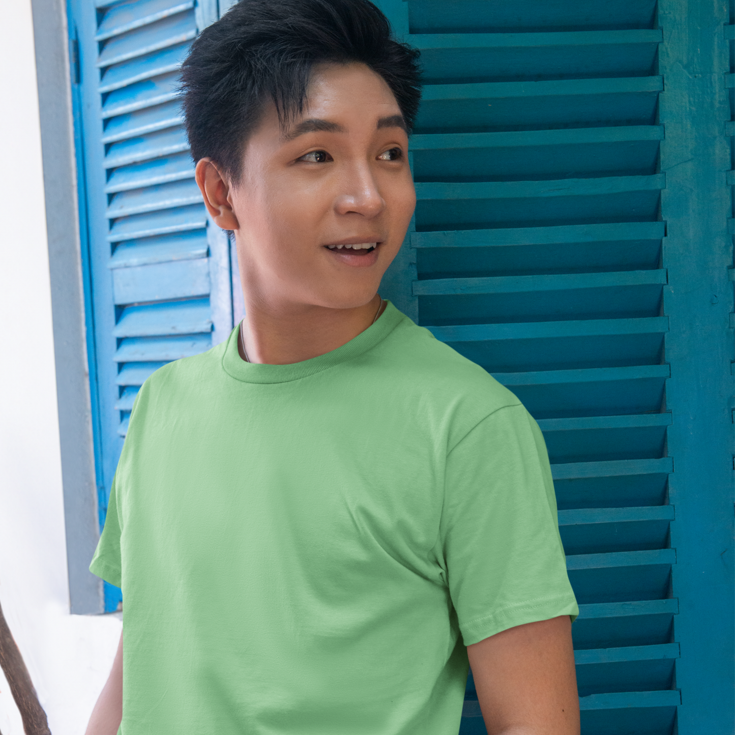 Premium Jade Regular Crew Neck Solid Plain T-shirt